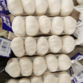 China fresh garlic factory price offer, pure white garlic 200 gram export